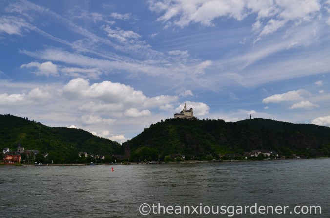 Cyclig along the Rhine (2)