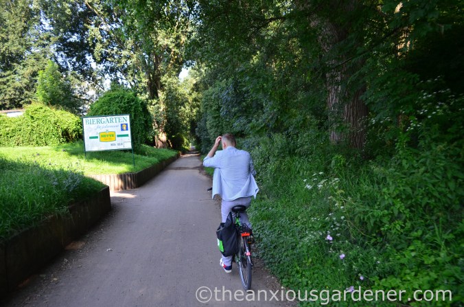 Cyclig along the Rhine (3)