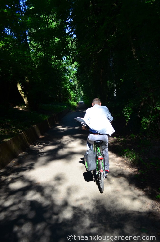 Cyclig along the Rhine (4)