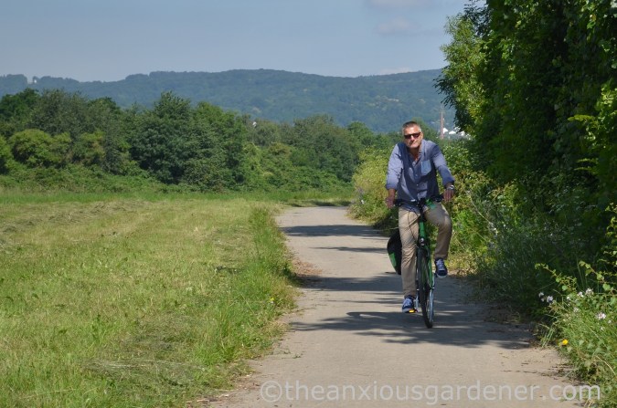 Cyclig along the Rhine (8)