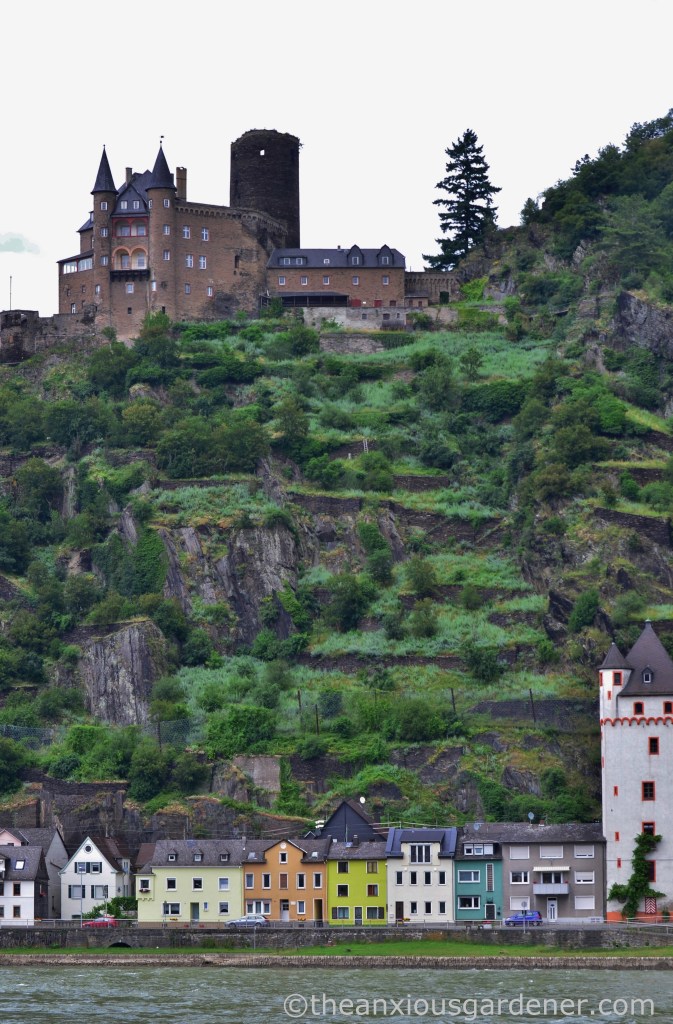 Cycling along the Rhine (10)