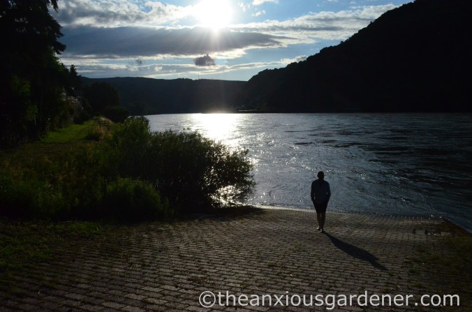 Cycling along the Rhine (11)