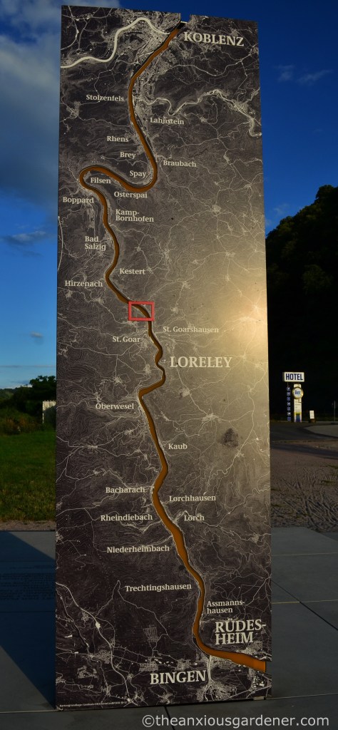 Cycling along the Rhine (14)