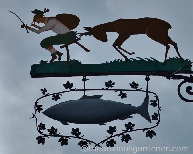 Cycling along the Rhine (5)