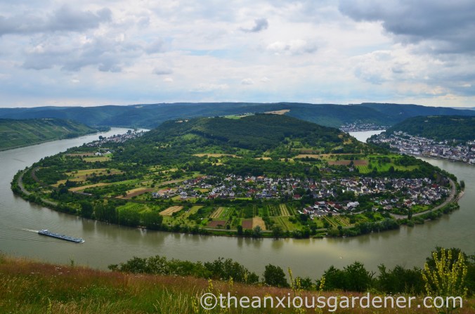 Das GedeonsEck, hoch über der Rheinschleife