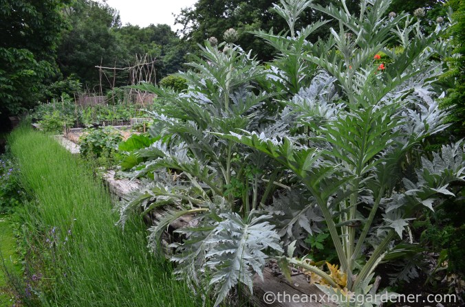 clergy-house-alfriston-23