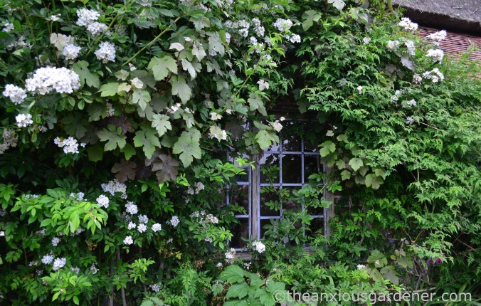 clergy-house-alfriston-27