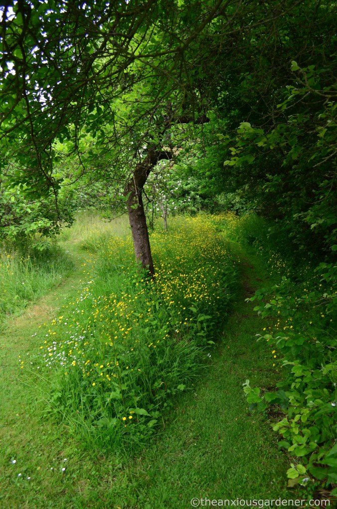 clergy-house-alfriston-31