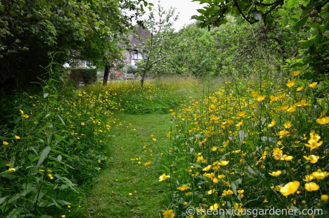 clergy-house-alfriston-4