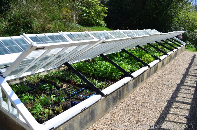 gravetye-manor-coldframe
