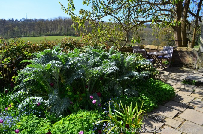 gravetye-manor-gardens-1
