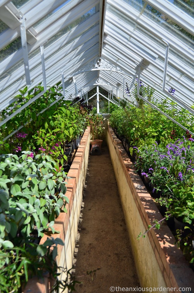 gravetye-manor-glasshouse
