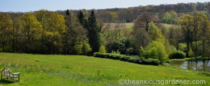 gravetye-manor-meadow-1