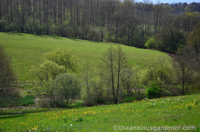 gravetye-manor-meadow-2