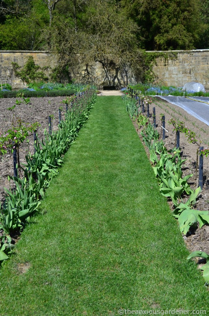 gravetye-manor-vegetable-garden-2