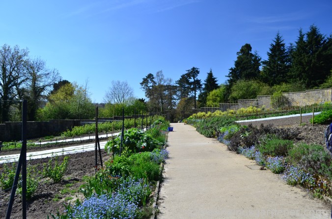 gravetye-manor-vegetable-garden-3