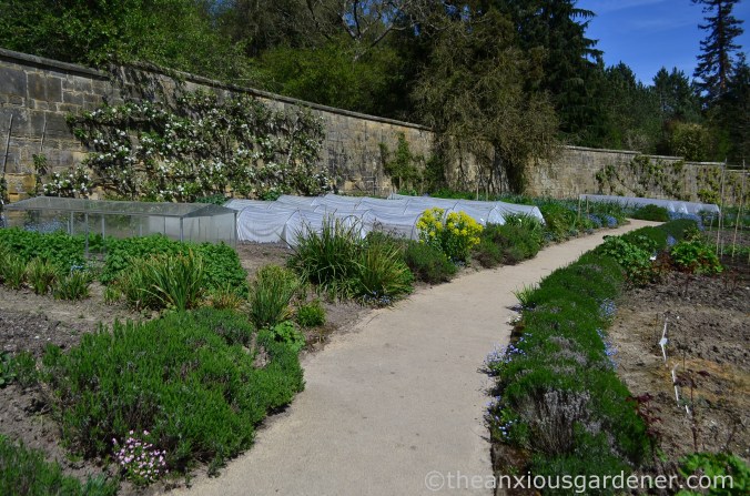 gravetye-manor-vegetable-garden-4