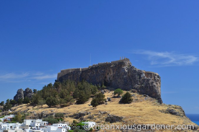 Acropolis Lindos (3)