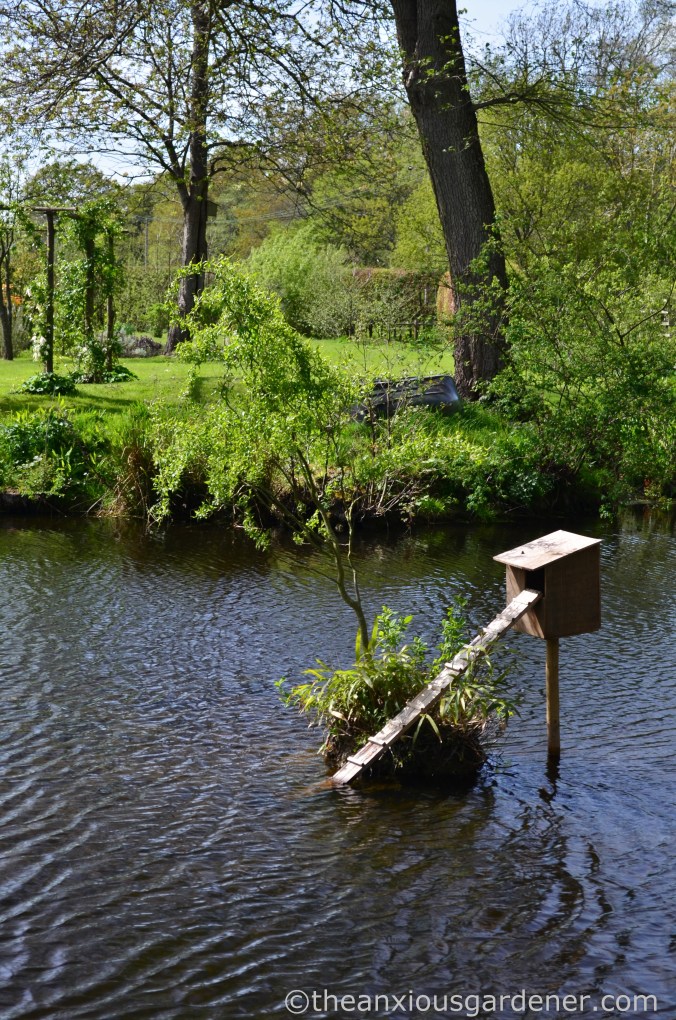 Capsize the Island (2)