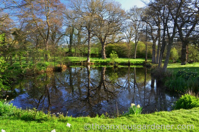 Capsize the Island (3)