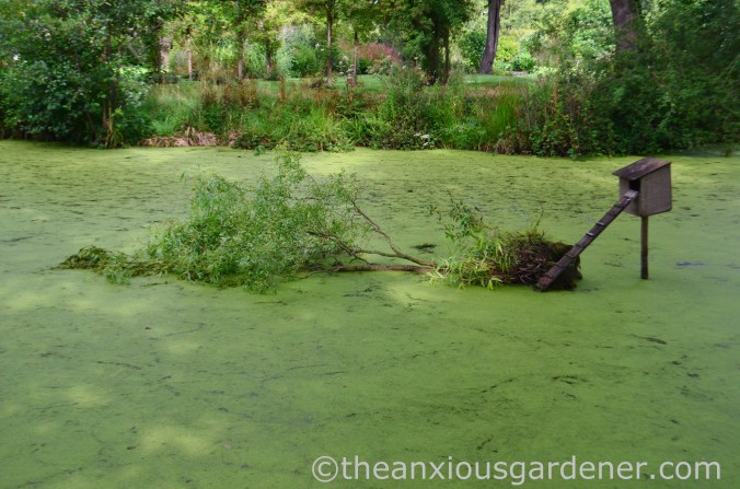 Capsize the Island (6)