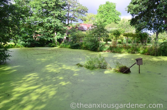 Capsize the Island (8)