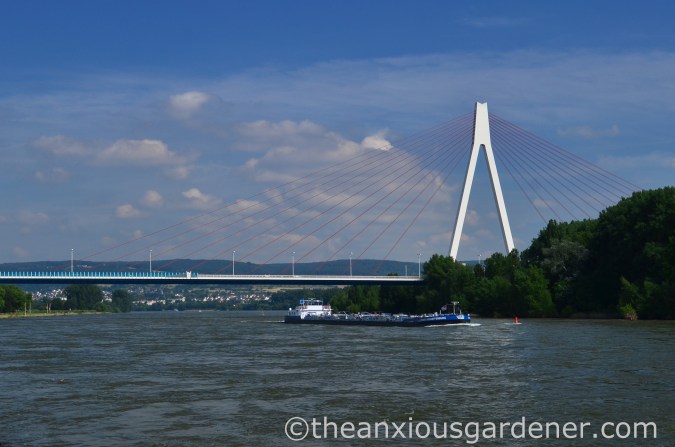 Cyclig along the Rhine (6)