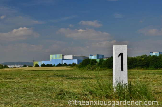 Cyclig along the Rhine (7)