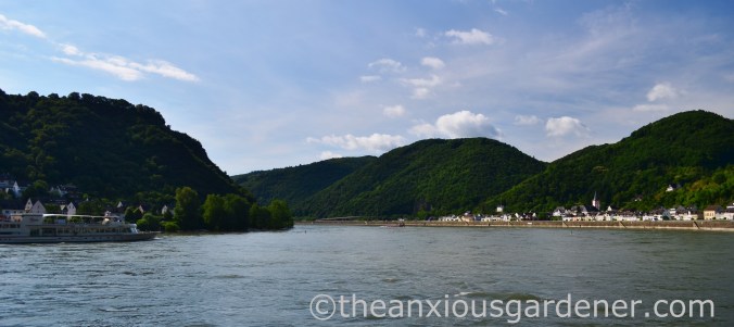 River Rhine