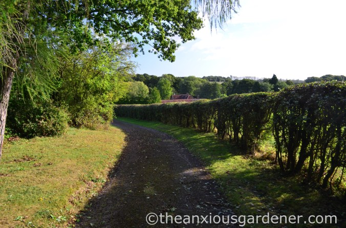 Clipped Mixed Hedging (5)