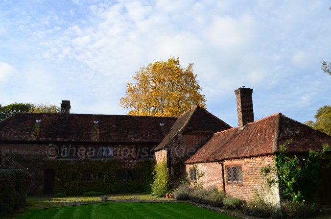 Tulip Tree Liriodendron tulipifera (4)