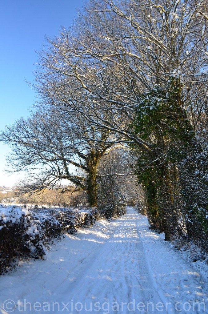Snow over the Priory (1)