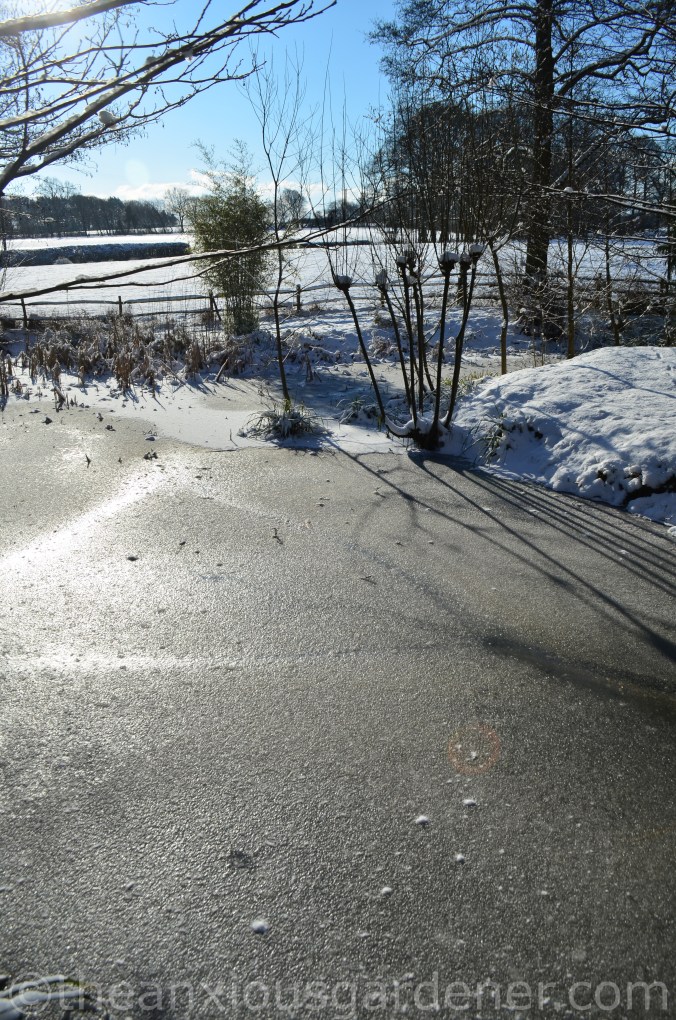 Snow over the Priory (10)