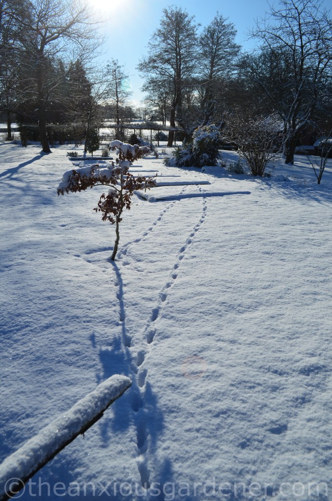Snow over the Priory (12)