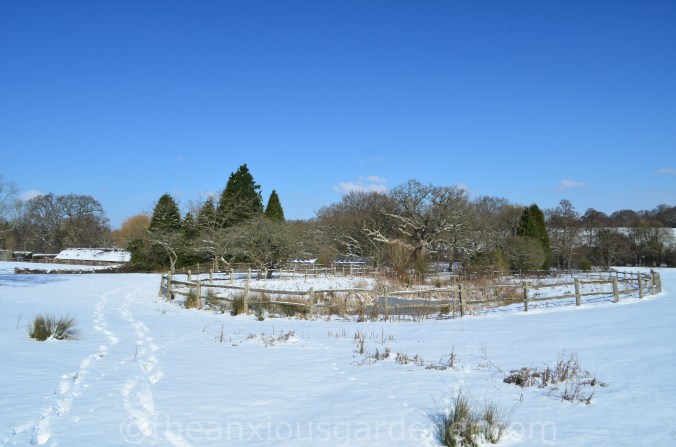 Snow over the Priory (17)