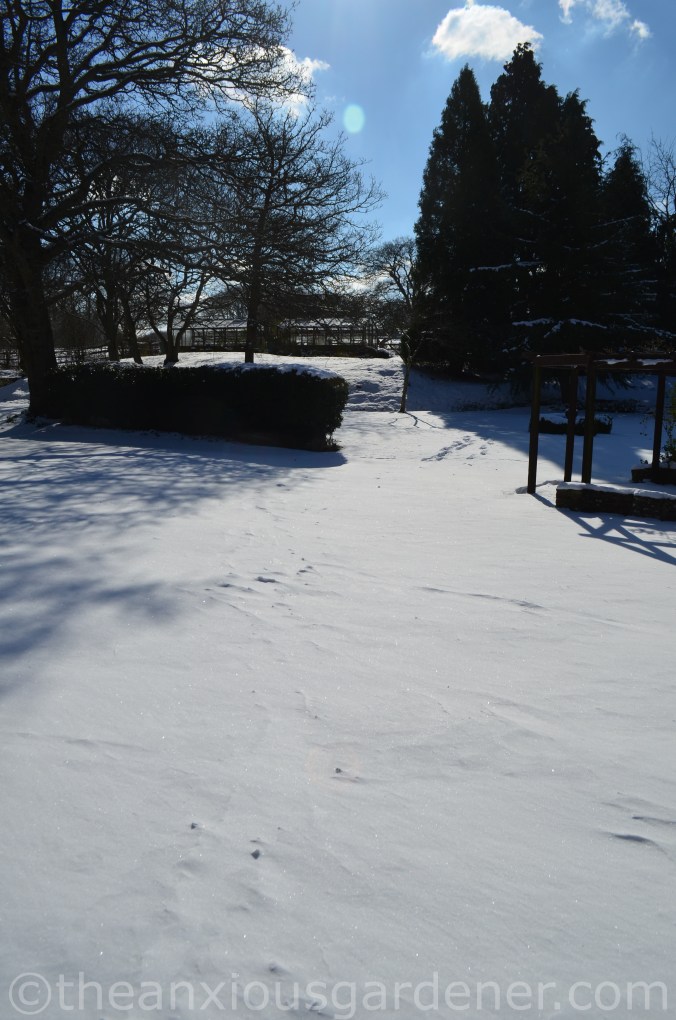 Snow over the Priory (21)