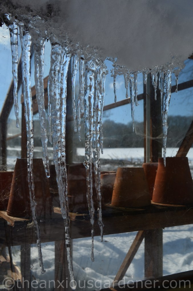 Snow over the Priory (22)