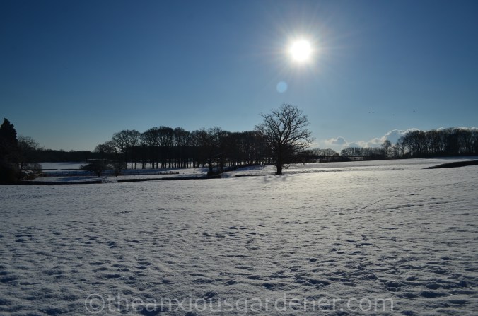 Snow over the Priory (5)