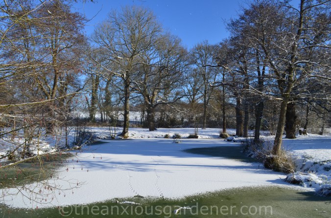 Snow over the Priory (6)