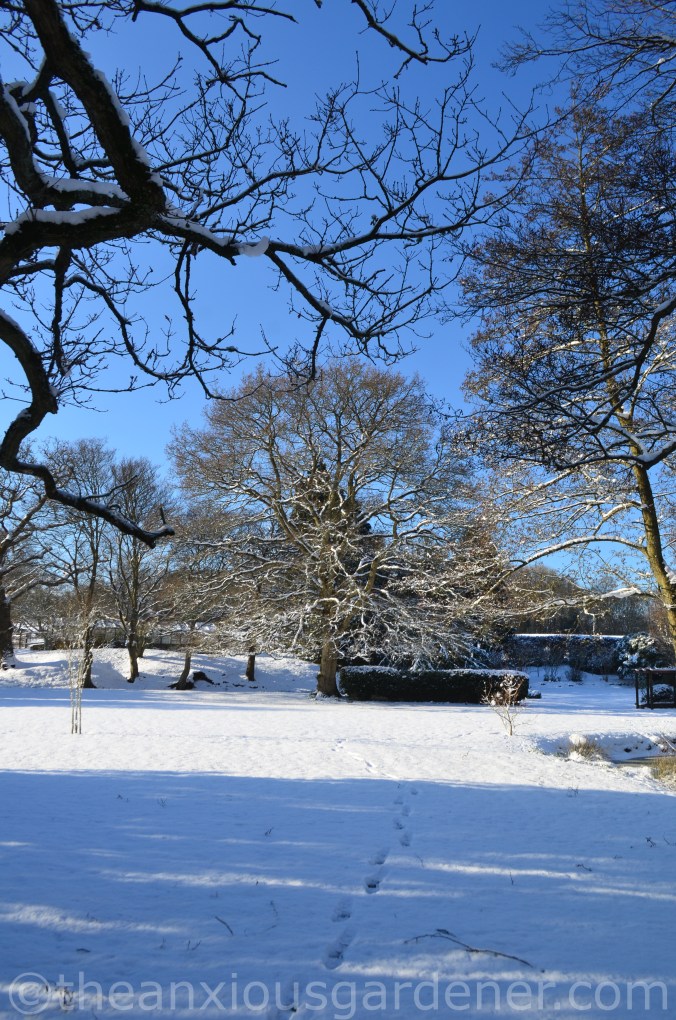 Snow over the Priory (8)