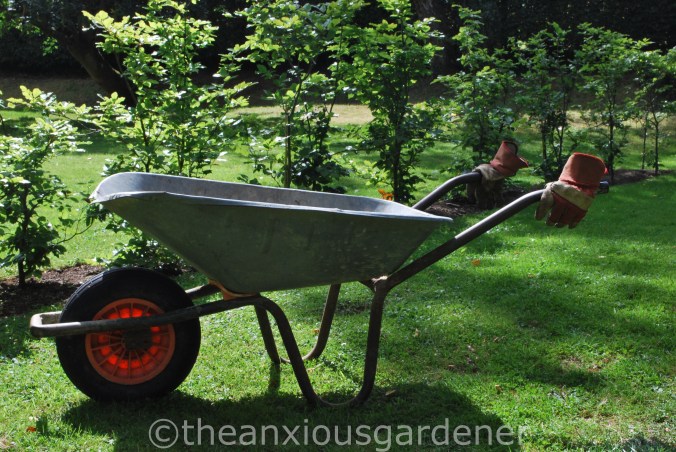 The Old Wheelbarrow (2)