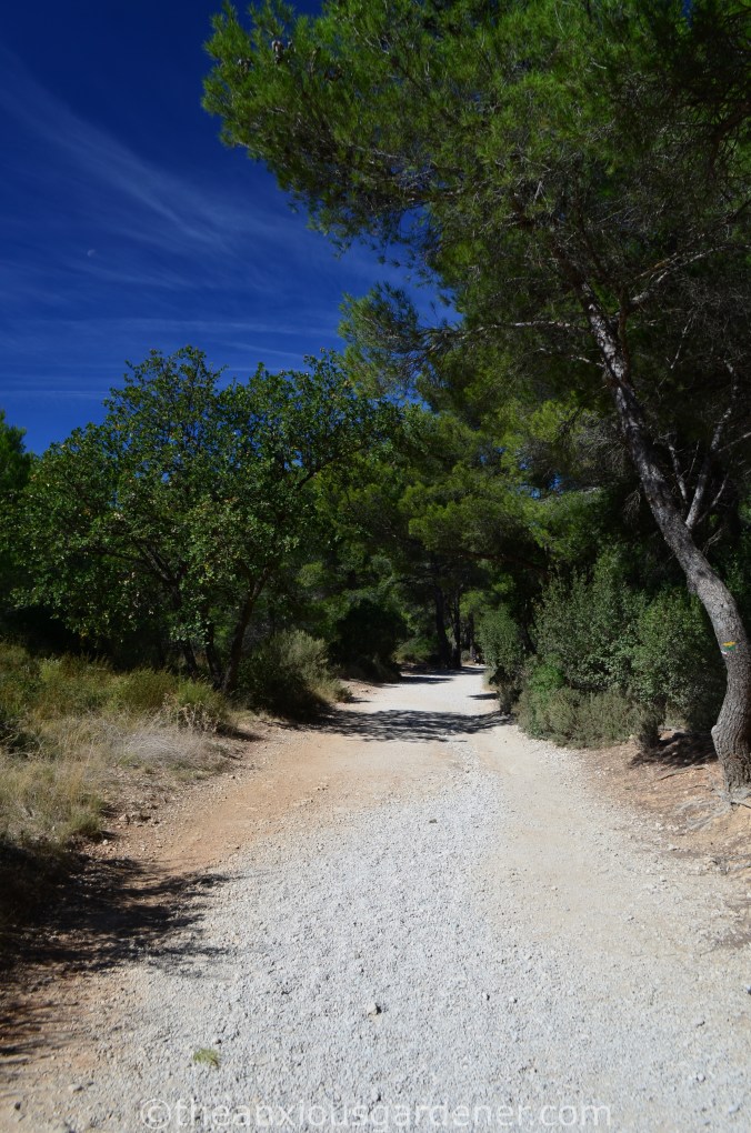 Calanques National Park
