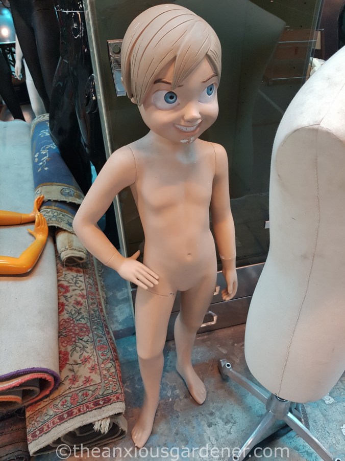 Marché Centre Commercial les Puces