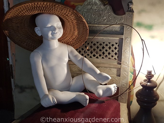 Marché Centre Commercial les Puces