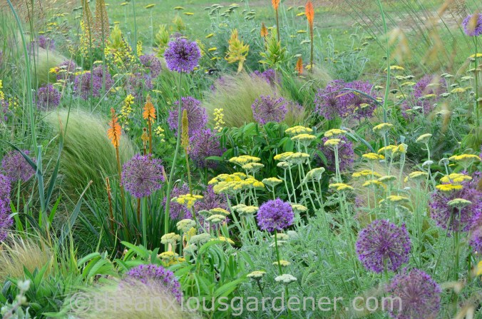 Cotswold Wildlife Park Planting (1)