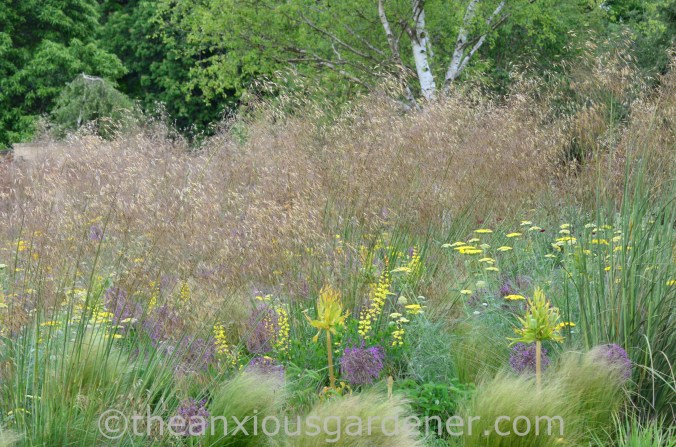 Cotswold Wildlife Park Planting (2)