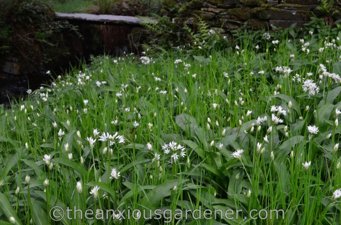 Bobbin Mill, Hawkshead