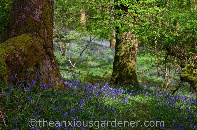 Bobbin Mill, Hawkshead
