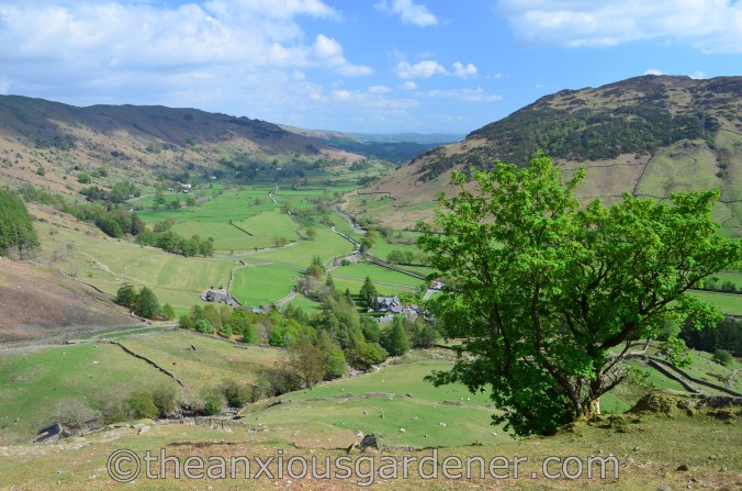 Great Langdale