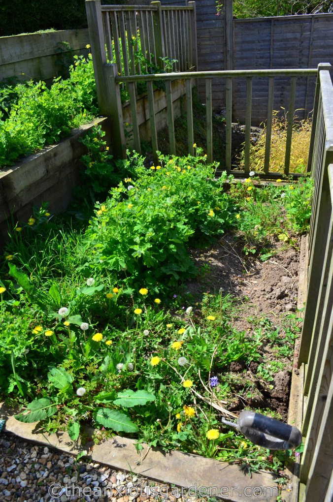 New House New Garden